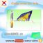 Yingxing outdoor toys cheap price flying kite