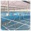 High quality cheap price agricultural plastic film small tunnel mushroom tomato greenhouse supplies all parts for sale