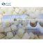 Sinocharm Brand IQF Frozen Diced White Peach