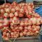 2019 New Crop Top Grade 20 KG package Diameter > 7 cm Non-Peeled  Fresh Yellow Onion for sale