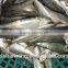 China Exporter Frozen Sardinella lemuru fish