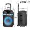12 Inch Portable Trolley Subwoofer Speaker With Colorful RGB Lights 60W Deep Bass Support Dual Wireless Mic