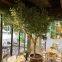 Large Artificial Olive Trees Artificial Decor Simulation Plant Fake Olive Trees for Landscape Project