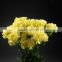 Special Liberty hot style carnation flower