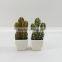 Best selling high simulation tropical plants artificial mini cactus plant