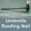 china 1 Lb. Electro Galvanized Umbrella Roofing Nail