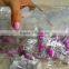 crank lures for wholesaler on 