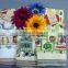 DF07 100% Cotton Printing Velour kitchen towel