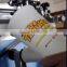  express dongguan tube8 japanese/plastic bottle /paper cup screen printing machine LC-PA-300E