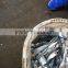 Frozen Mackerel HGT, pacific mackerel fish price, export pacific mackerel