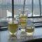 Modern Heat resistant double wall glass tea cup