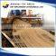 Industrial Long Pasta Extruder Machine / Spaghetti Machine/Automatic Noodle Making Machine