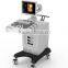 MC-ivis20 4D Black and White Ultrasound Machine