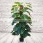 Artificial Pothos Plants On Coconut Pole