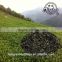 Manufacturer Supply Chinese Loose Leaf Oolong Tea