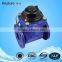 Large Caliber Direct Reading Remote Water Meter
