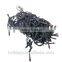 200 LED Solar Powered Multicolor String Light for Christmas Decoration