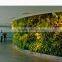 silk boston fern bush large