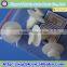 Best price fastener auto clip/plastic body clip/auto car clip with certification
