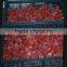 Senge frezon strawberry