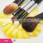 2017 Popular Hot Sale 5 Pcs Laser Private Logo Cosmetics Makeup Brush
