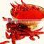 guntur red chilli