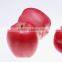 High quality Chinese red star apple best price red star apples sweet and fresh red star apples