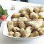 the largest supplier of peanuts kernel and best quality peanuts kernel