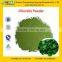 Manufacture Supply High Quality Chlorella Algae Powder