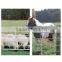 Hot Dipped Galvanized metal Livestock farm fence panel metal horse fence panel