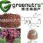 Grape Seed Extract