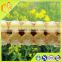 Hot Sale Natural Medical 2.0 10 HDA Royal Jelly With Lower Price to Improving The Immune