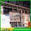 Maize seed grain processing plant with seed conditioning units