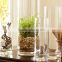 Cylindrical straight hydroponic glass containers transparent glass vase