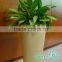 new 2016 plant pot hydroponic pot plastic flower pot wholesale on allibaba com
