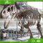 2013 display dinosaur skeleton model for sale