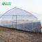 2019 China Plant Growing Plastic Film Tunnel Greenhouse