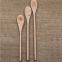 Wooden Food & Fruit Spoons, Made of Beech Wood