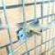 Automatic rabbit nipple drinker for rabbit in cage
