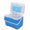 Custom Portable 8 Liter Insulated Cooler Box Plastic Ice Cooler With Handle