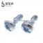China manufacturer fasteners carbon steel security screws / anti-theft screws