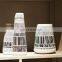 Nordic Modern Luxury Black Line and White Decal Decorative Pot Large Ceramic Vase Set for Home Decoration