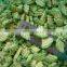 Sinocharm frozen vegetable Factory of IQF Frozen Zucchini Strips Size according to customer requirements