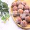 BRC Certified IQF Frozen Fresh Lychee Whole