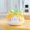 Wholesale Home Indoor Plants Aero Pots Planter Cute Cat Mini Ceramic Suculent Succulents Flower Animal Succulent Planters