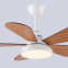 Variable frequency fan living room light / 42 inches