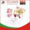 full color art paper new handbag brochur print