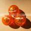 Flashing Bouncing Ball Flummi best for promotion