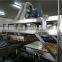 Guqiao Brand Egg Cake Making Line