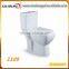 Hot-sale 1109 Middle East ACQUA Two Piece Design Toilet